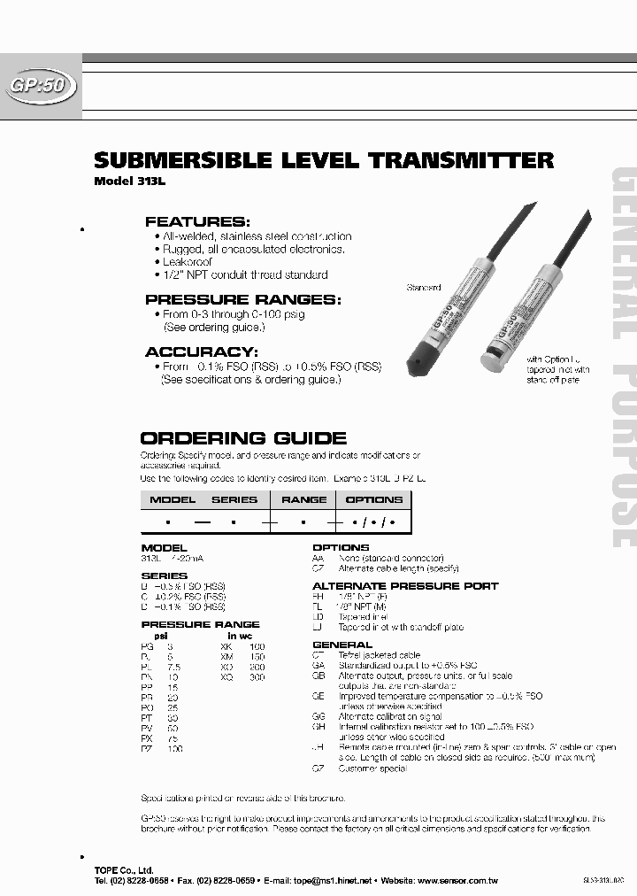 313L_378753.PDF Datasheet
