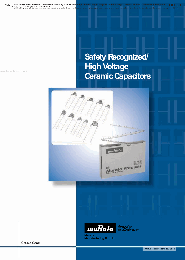 DE2E3KY102MA2BM01_1391772.PDF Datasheet