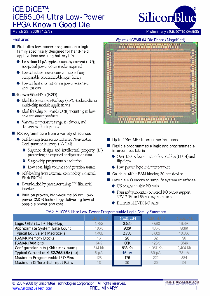 ICE65L04_3316341.PDF Datasheet