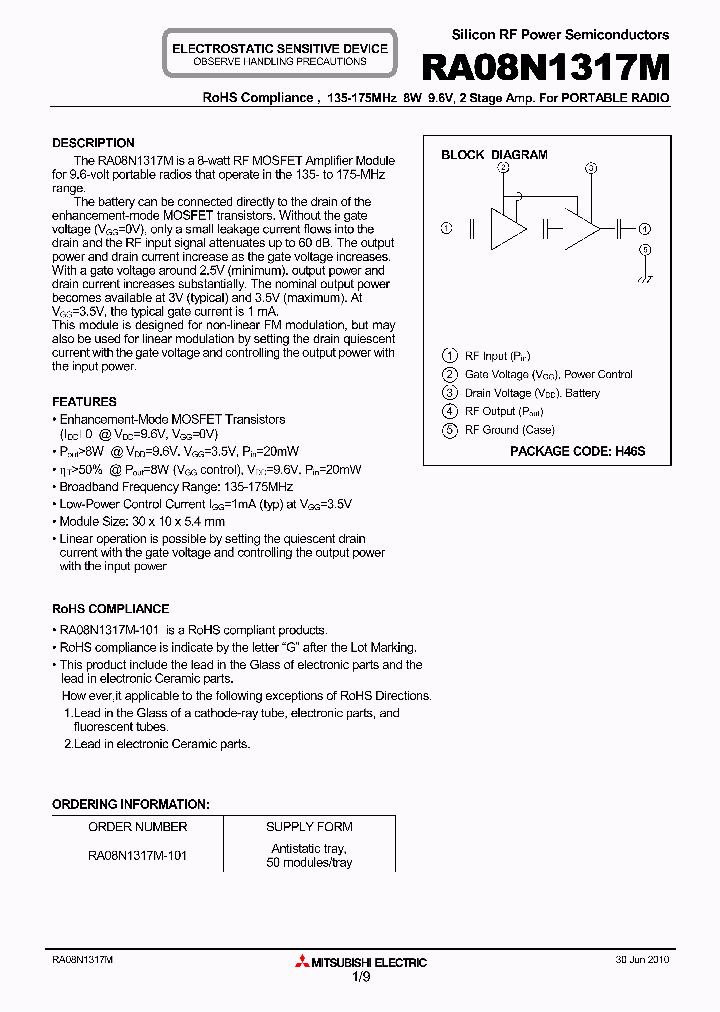 RA08N1317M10_3710882.PDF Datasheet