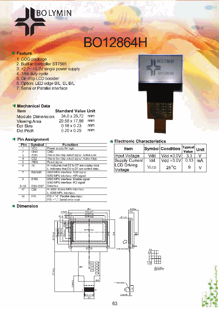 BO12864H_5458197.PDF Datasheet